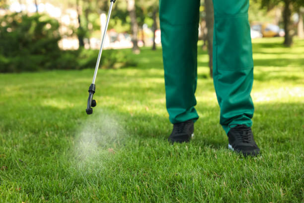 Best Mosquito Control Services  in Olivette, MO