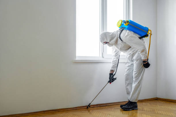 Best Affordable Pest Control Services  in Olivette, MO