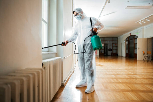 Best Local Pest Control Services  in Olivette, MO